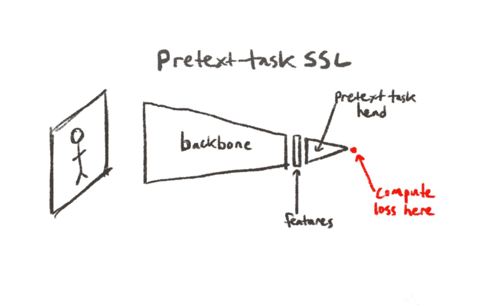 Pretext task SSL basic setup